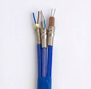 Bridgewire: EED Plug Assemblies
